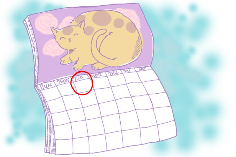 The Cheapest Days To Buy Groceries