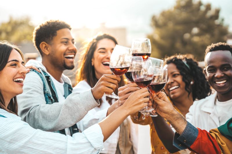 Smiling people toasting with wine glasses